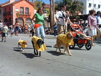 Santa Barbara Big Dog Parade - 2008
