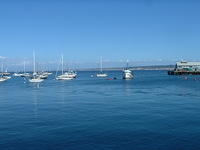 Monterey Bay (in Monterey)